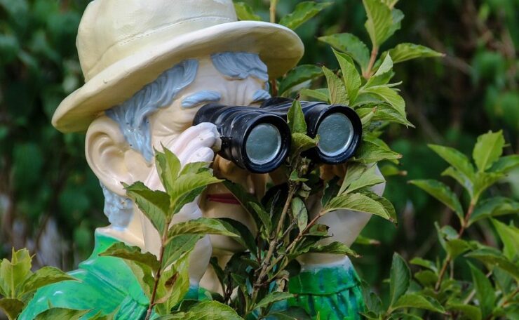Man wearing hat in bush using binoculars