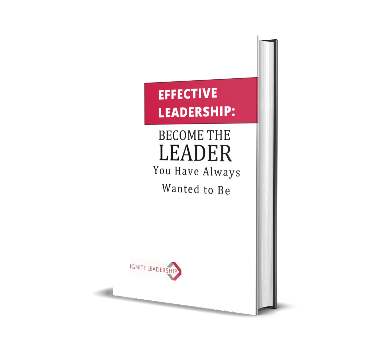 Effective Leadership Become the Leader You Have Always Wanted to Be 3D cover 3D book image of Effective Leadership - Become the Leader You Want to Be by Catherine Rocheleau, Ignite Leadership International