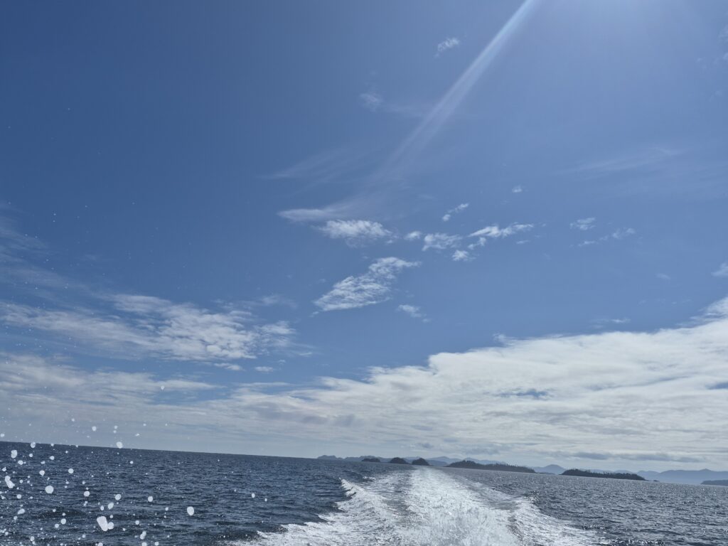 the wake from a power boat, blue sky with some clouds, island in the distance
